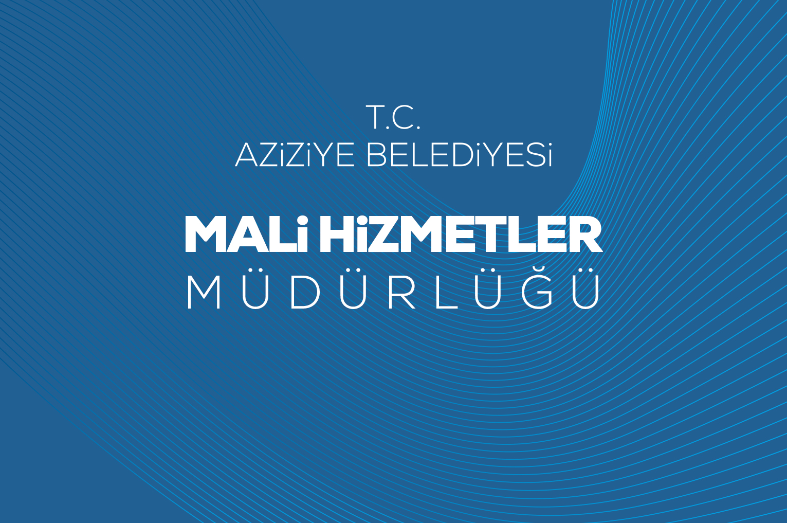 Mali Hizmetler Müdürlüğü